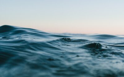 WISDOM ABOVE THE WAVES